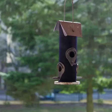 T5 Spacieux, Parking, Proche Gare Et Centre ディジョン